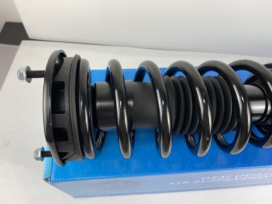 1015619 Tesla Model S Front Left And Right Coil Spring Shock RWD Shock Strut Assembly Coil Type 1015619-01-E