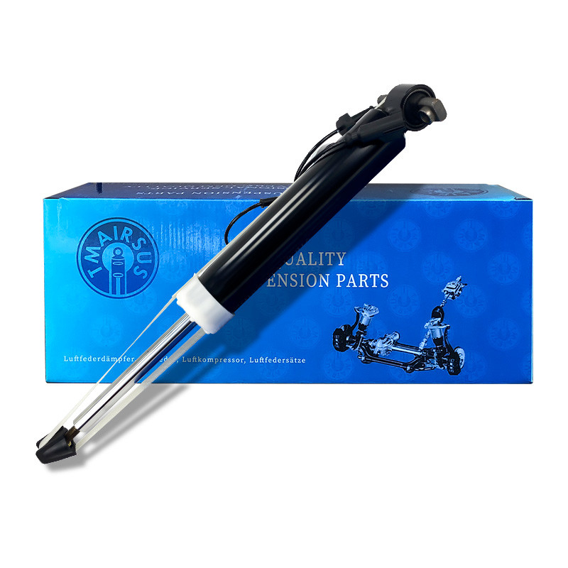 OEM Spec Air Suspension Shock / Car Air Shock Absorber สําหรับ Lincoln MKT ตําแหน่งด้านขวาด้านหลัง