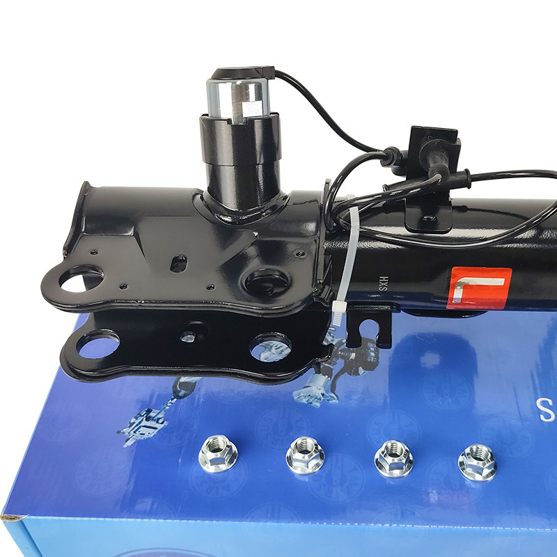 สตริทเต็ม การประกอบด้านหน้าสําหรับ Lincoln MKS MKT DE9Z18124K DE9Z18124J การแขวนยนต์ OEM การกระแทกแก๊สอิเล็กทรอนิกส์