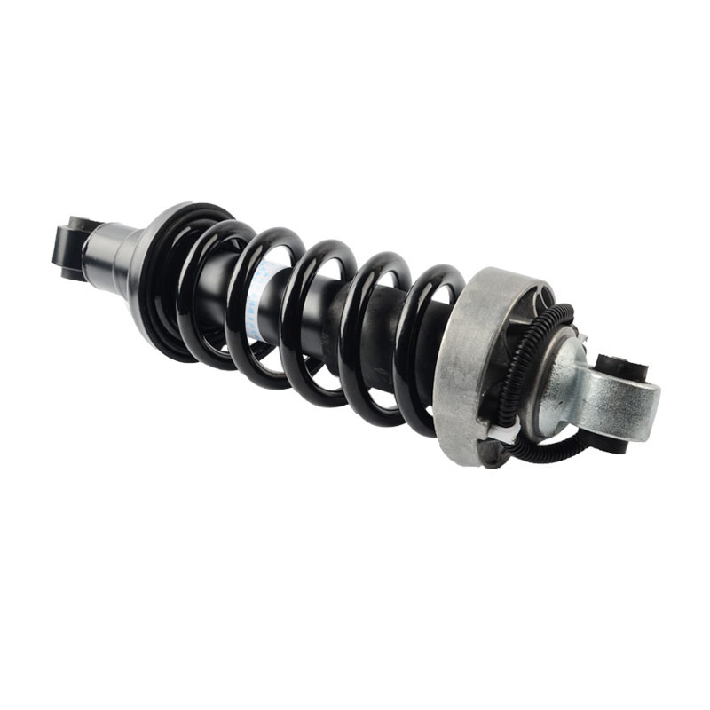 Audi R8 ด้านหลังซ้ายขวา ADS Air Suspension Shock Absorber Strut 420512019AL 420412020AG Airmatic