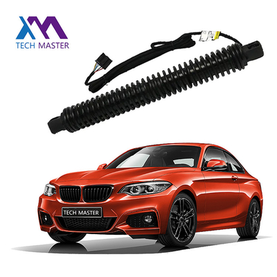 BMW Liftgate Lift Support สําหรับ 7X0LI F02 51247185713 รถยนต์แก๊สสปริงด้านหลัง